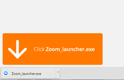 zoom launcher exe